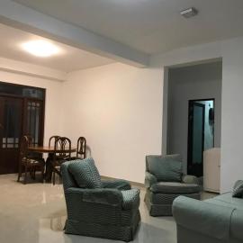 Slayan properties
