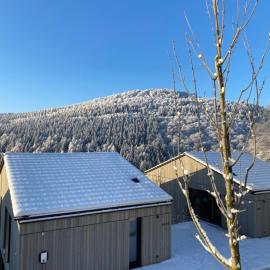 Sauerland Lodge - Haus Maxim