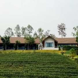 PASSA ผัสสะ Tea Plantation @Mae On, hotel in Ban Huai Kaeo
