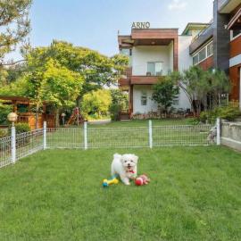 Gapyeong Areuno Pet Pension