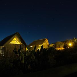 Harmony Luxury Tents & Safari