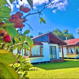 Arriendo de Cabañas con Piscina y Entorno Natural, Villarrica