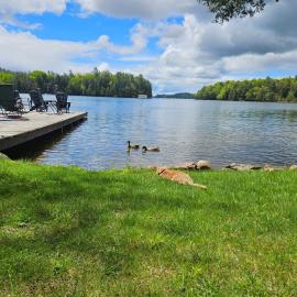 Olga's Bay Lakehouse, hotel u gradu 'Minett'