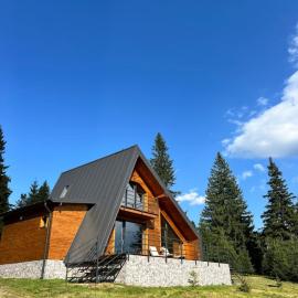 Carpathic Chalet, hotel in Comandău