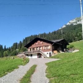Holiday Home Willenschwand Adelboden by Interhome