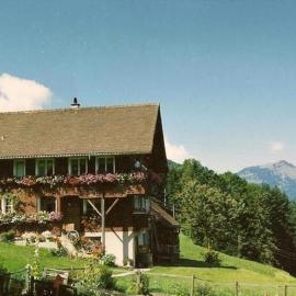 Apartment Guntern in Lauerz by Interhome