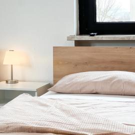Großzügige OG Ferienwohnung in Linkenheim frieden apartments