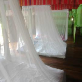 Homestay nắng trên đồi