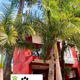 Casa en exclusiva Residencial de Copán, hotel u gradu Copán Ruinas