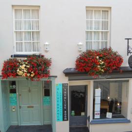 The Olive Branch, Hotel in Ilfracombe