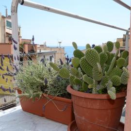 Viadeibanchi, hotel v destinaci Riomaggiore