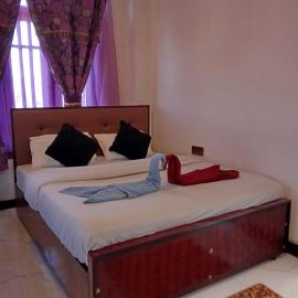 The nest haputale