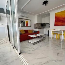 Teror 503
