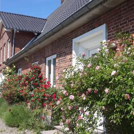 Apartment Vogelsang by Interhome