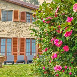 Villa Camelia Tuscany, отель в городе Пеша