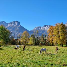 L'Appart des Grands Prés à Doussard entre Lac et Montagnes – hotel w mieście Doussard