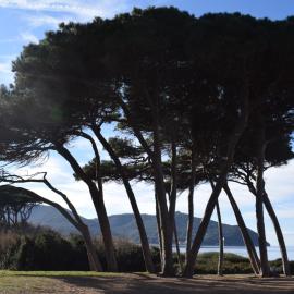Agriturismo Barattis, hotel v mestu Piombino