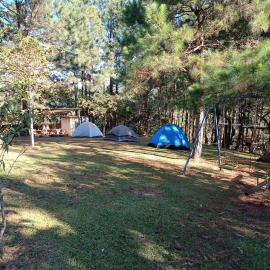 Camping La Palma, hotel a La Palma