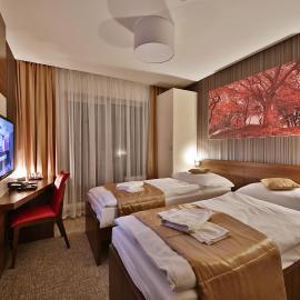 Hotel Alexander, ξενοδοχείο σε Bardejovske Kupele