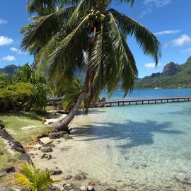 Moorea Cook Bay Rental
