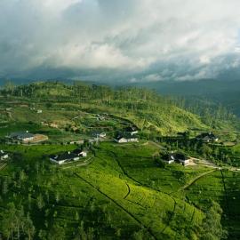 Aadya Tea Bungalows by Aahaasa, hotel sa Hatton