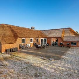 Lovely Pool House On A Lovely Secluded Plot By Søndervig - 1017