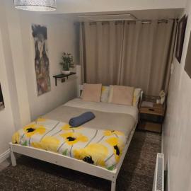 The Shinki House – hotel w Nottingham