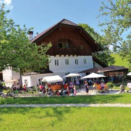 Erlachmühle, hotel u Mondseeu