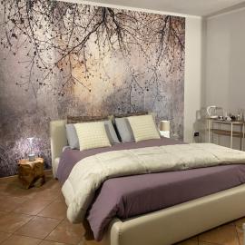 Asfodelo rooms, hotel a Bra