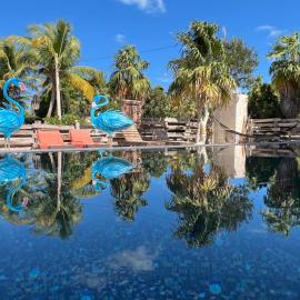 Flamingo Blue - Casa Boutique - Adults Only, hotel u gradu 'El Cuyo'