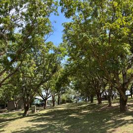 Camping at Kanaan