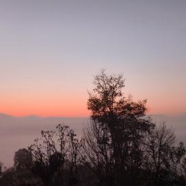 Sun temple homestay