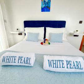 Chauen White Pearl Apartments، فندق في شفشاون