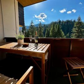 Panoramic Penthouse - Pool, Sauna & Private Parking, hotel v destinácii Laax