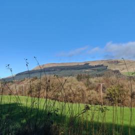 Half Pint Cottage, Hotel in Draperstown