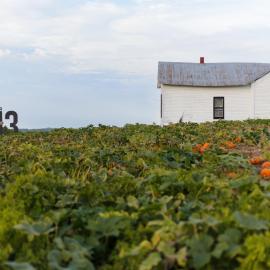 Rendelman Orchard's Farm Stay, hotel in Alto Pass