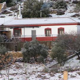 El Almendro de Fuentes Nuevas