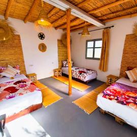 SURF TRIP ROOM IN OUASSANe