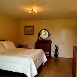 Lily Pad Apartment