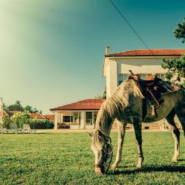 Guest House Ongal, Hotel in Krushuna