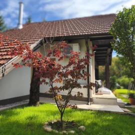 Holiday Cabin near Ljubljana - Hawknest