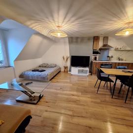 Faubourg des voyageurs 7 - T2 climatisé 4 personnes - proche axe autoroute et gare, hotel v destinaci Saran
