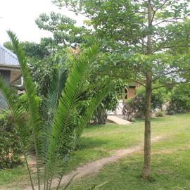 Kibale Eco-Home, hotel a Bigodi