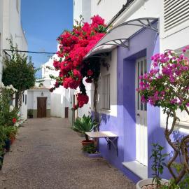 CORAZÓN DE CONIL