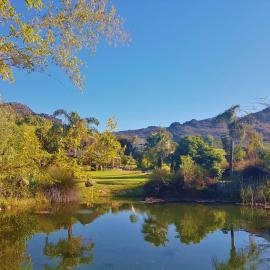 Val d'Or Estate, hotel in Franschhoek