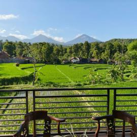 Yoga Homestay, hotel in Munduk