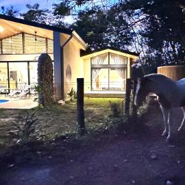 Finca Shambalah Private Pool Villas on a Horse Estate