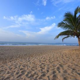 Mangrove Beach Cabana