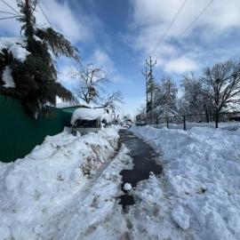 Pine Guest House sawan tangmarg
