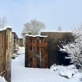 Square 32 Luxury Shipping container
